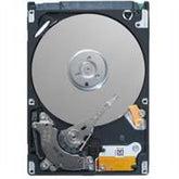 Dell Harddisk 250-GB Sata 3,5"